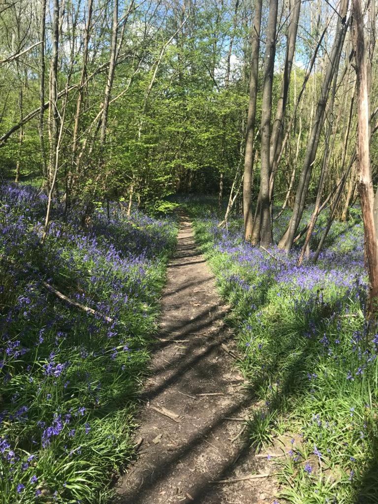 Bauernhof Pooks Rest Hurst Green (East Sussex)