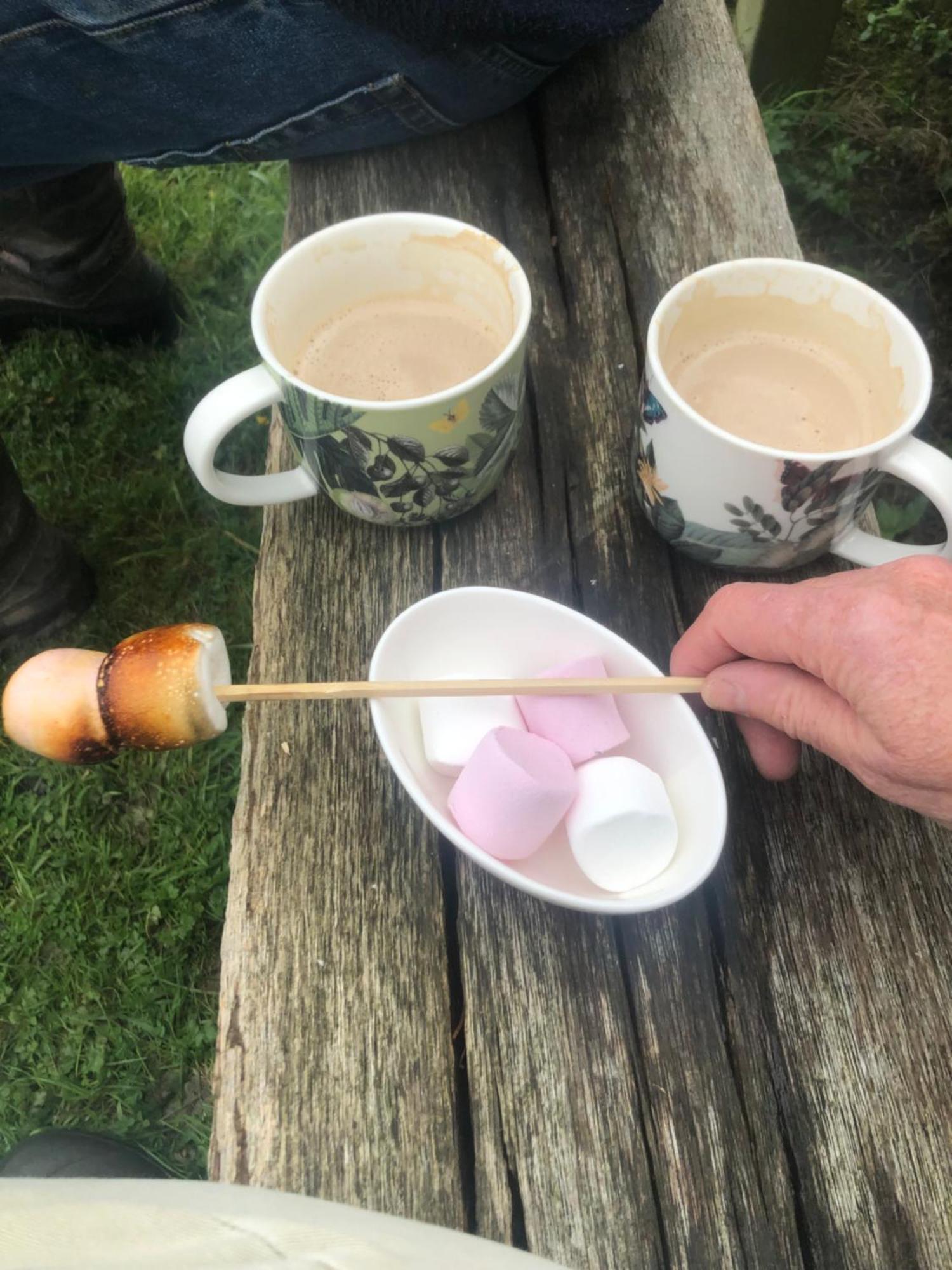 Pooks Rest Farm stay Hurst Green (East Sussex)